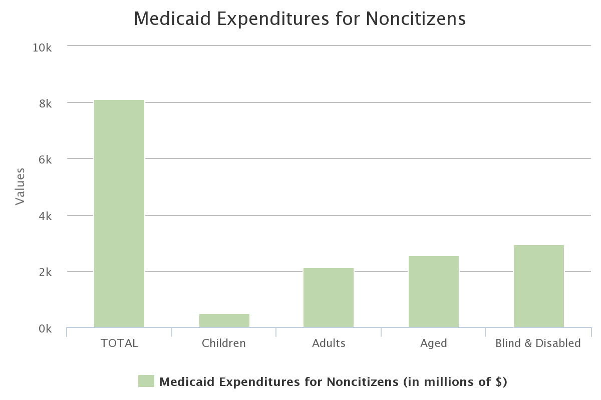 Medicaid Expenditures for Noncitizens